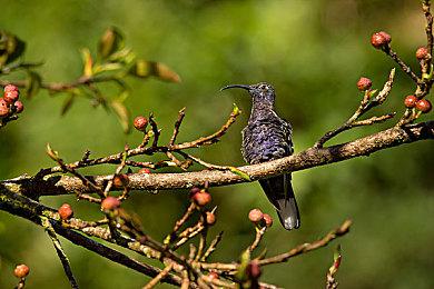 《使命召唤18：先锋》开发商发表声明 会让游戏变得更好